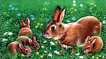 宝くじ原画　動物の家族シリーズ　ウサギ