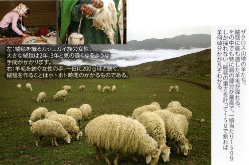 絨毯を織る女性・ザクロス山脈の羊たち